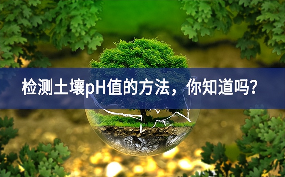 檢測土壤pH值的方法，你知道嗎？