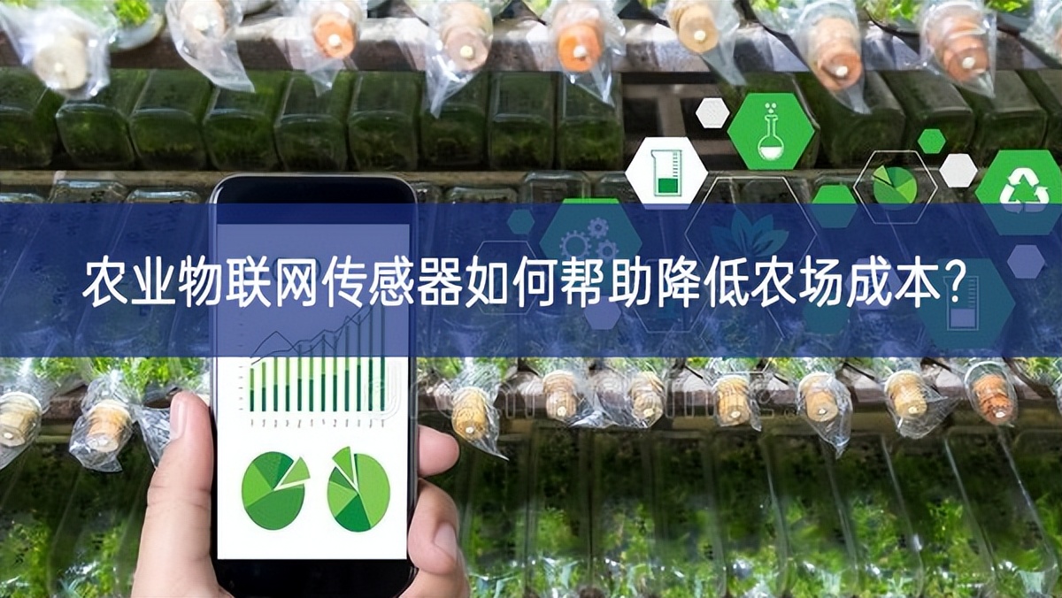 農(nóng)業(yè)物聯(lián)網(wǎng)傳感器如何幫助降低農(nóng)場成本？