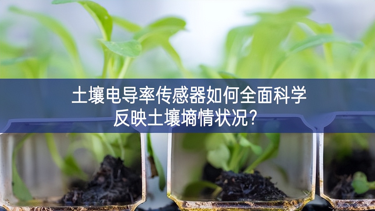 土壤電導(dǎo)率傳感器如何全面科學反映土壤墑情狀況？