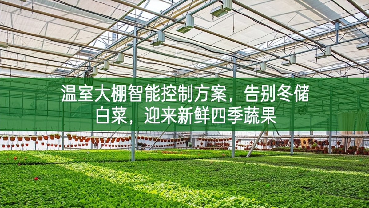 溫室大棚智能控制方案，告別冬儲(chǔ)白菜，迎來(lái)新鮮四季蔬果