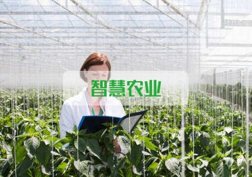 春雷一聲 驚蟄到，聚英智慧農(nóng)業(yè)系統(tǒng)助力農(nóng)業(yè)春耕
