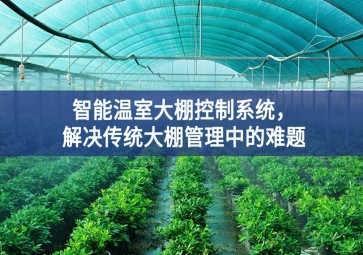 「智慧農(nóng)業(yè)」智能溫室大棚控制系統(tǒng)，解決傳統(tǒng)大棚管理中的難題