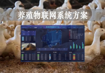 「智慧養(yǎng)殖」數(shù)字經(jīng)濟時代到來，養(yǎng)殖物聯(lián)網(wǎng)系統(tǒng)方案來了