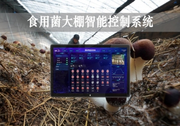 「智慧養(yǎng)殖」食用菌大棚智能監(jiān)控系統(tǒng)，自動(dòng)調(diào)節(jié)溫濕度
