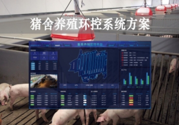 「智慧養(yǎng)殖」豬舍養(yǎng)殖環(huán)控系統方案，獲取環(huán)境參數，數字化畜牧業(yè)