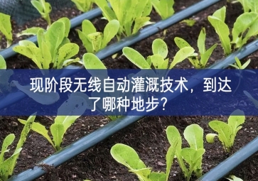 現(xiàn)階段無線自動(dòng)灌溉技術(shù)，到達(dá)了哪種地步？