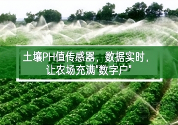土壤PH值傳感器，數(shù)據(jù)實時，讓農(nóng)場充滿"數(shù)字戶"