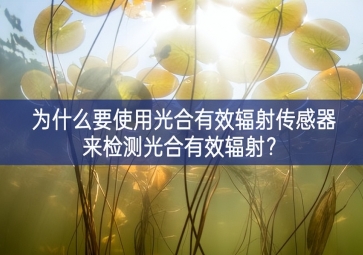 為什么要使用光合有效輻射傳感器來檢測(cè)光合有效輻射？