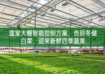 「智慧農(nóng)業(yè)」溫室大棚智能控制方案，告別冬儲白菜，迎來新鮮四季蔬果