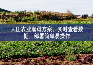 「智慧農(nóng)業(yè)」大田農(nóng)業(yè)灌溉方案，實(shí)時查看數(shù)據(jù)，部署簡單易操作