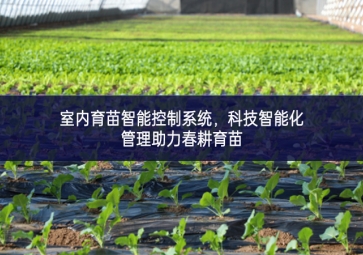 室內育苗智能控制系統(tǒng)，科技智能化管理助力春耕育苗